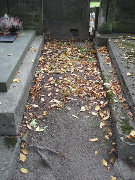Zdjęcie grobu: Pole Grobowe