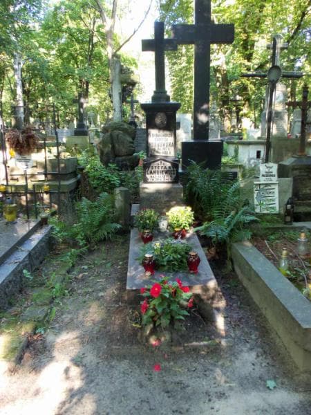 Zdjęcie grobu: Stefan Langiewicz