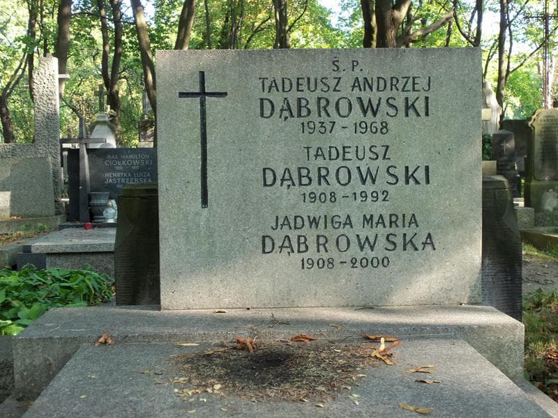 Zdjęcie grobu Tadeusz Dąbrowski (2)