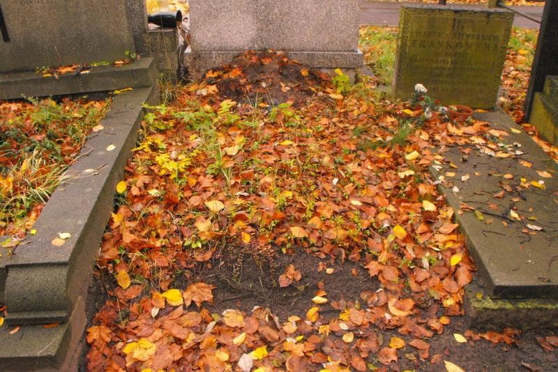 Zdjęcie grobu: Pole Grobowe