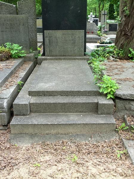 Zdjęcie grobu: Kazimierz Kulczycki