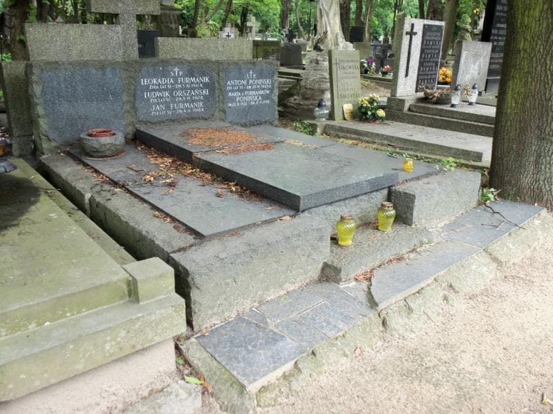 Zdjęcie grobu: Antoni Poniński