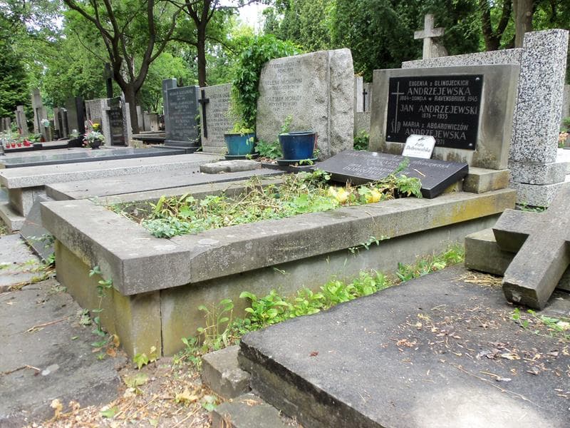 Zdjęcie grobu Zofia Dobrowolska (1)