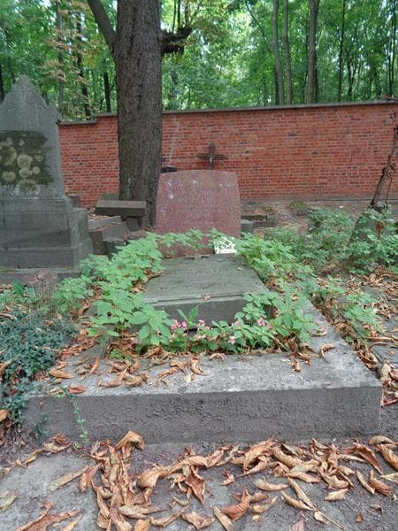 Zdjęcie grobu Stanisław Petschl (1)