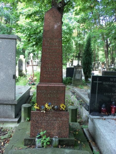 Zdjęcie grobu Tadeusz Nieczuja - Ślaski (2)