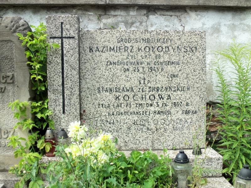 Zdjęcie grobu Stanisława Kochowa (2)