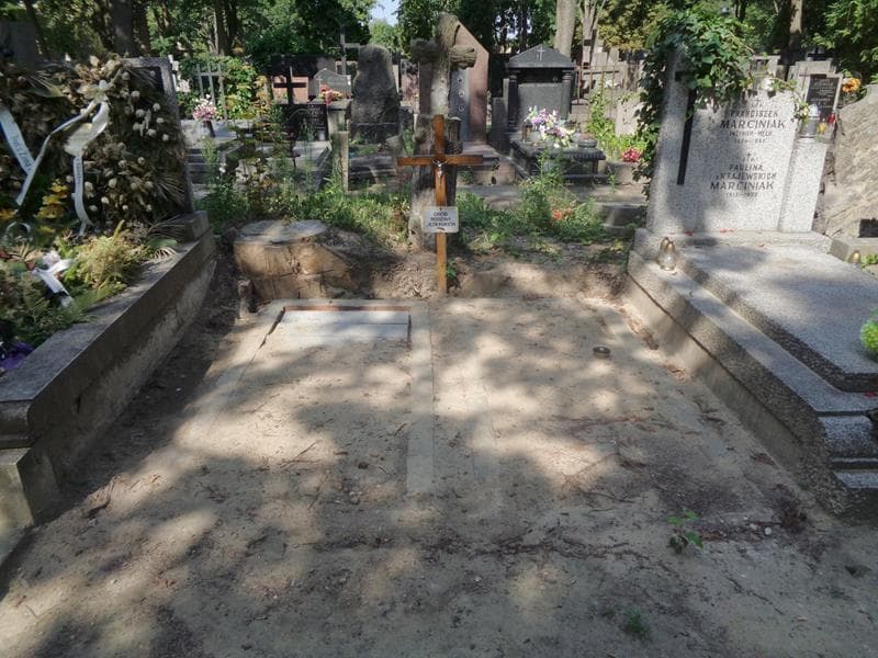 Zdjęcie grobu Jezierscy (1)