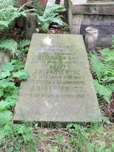 Zdjęcie grobu Petronela Aniołkiewicz (2)