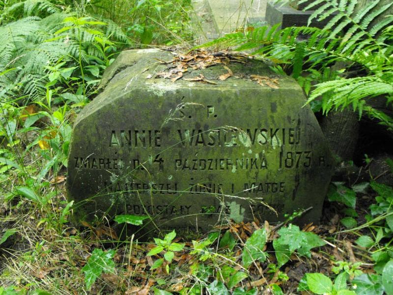 Zdjęcie grobu Anna Wasilewska (1)