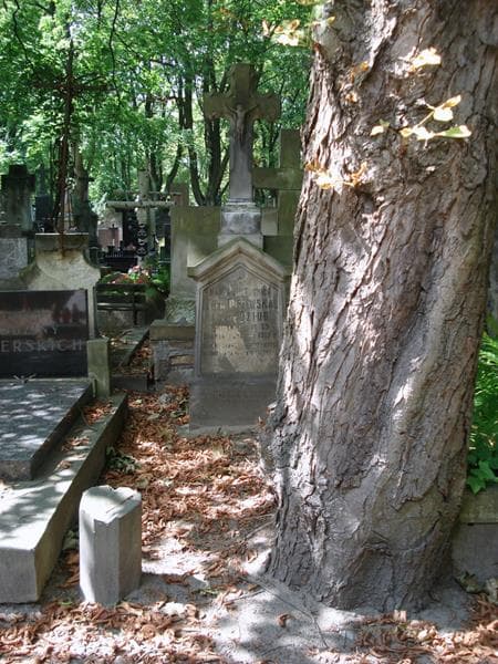 Zdjęcie grobu Marja Dziub (1)
