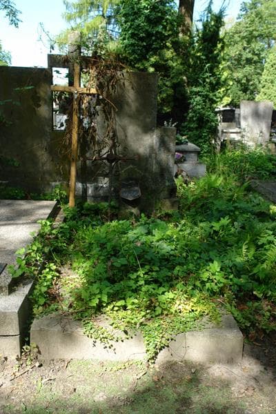 Zdjęcie grobu Antonina Chrzanowska (1)