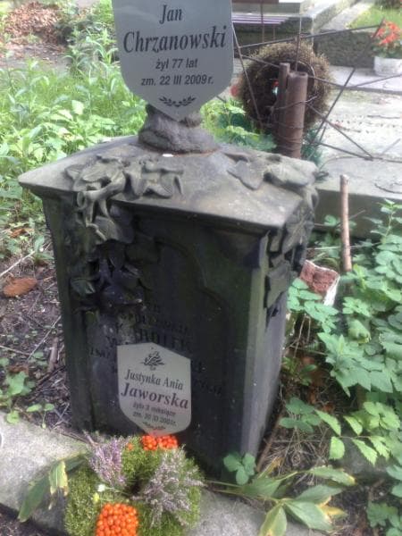 Zdjęcie grobu Jan Chrzanowski (2)