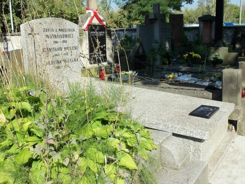 Zdjęcie grobu Zofia Woyniłłowicz (2)