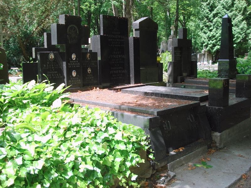 Zdjęcie grobu Eugenia Klemm (1)