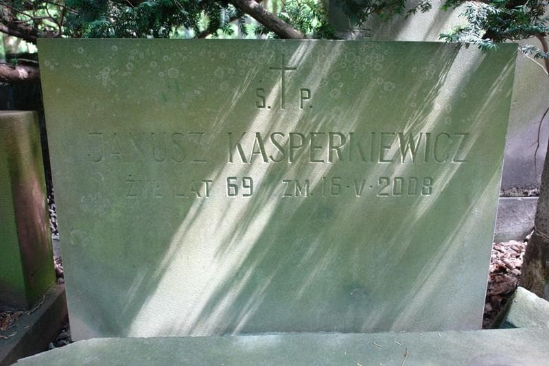 Zdjęcie grobu Józef Beck (2)