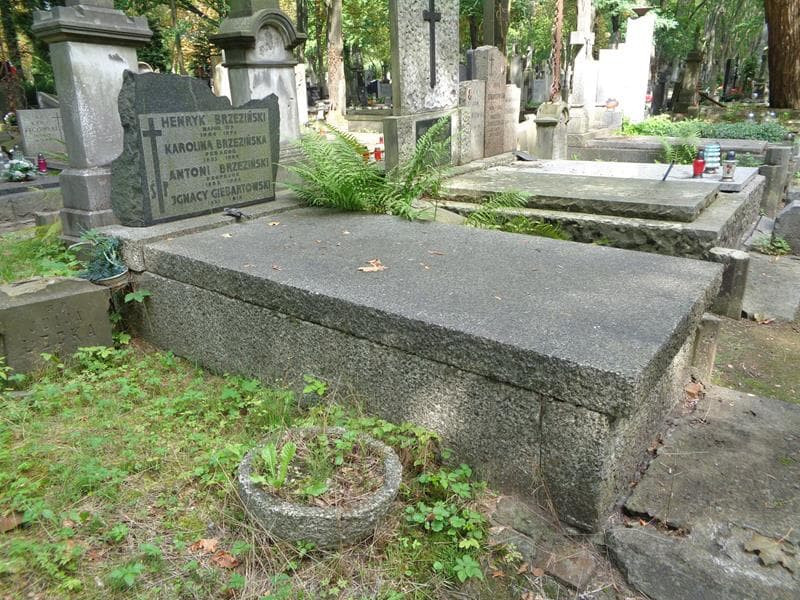 Zdjęcie grobu: Henryk Brzeziński