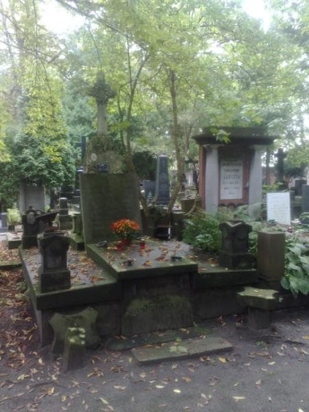 Zdjęcie grobu: Franciszka Janczewska