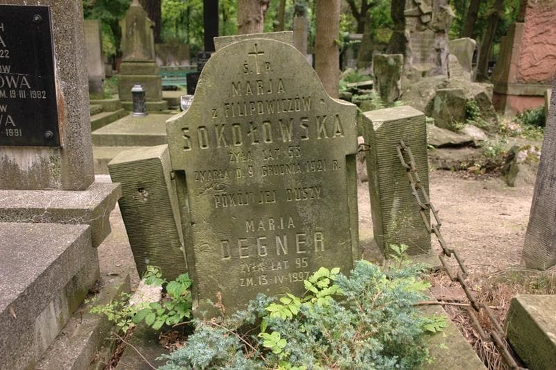 Zdjęcie grobu Maria Degner (2)