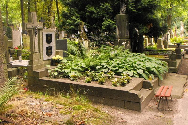 Zdjęcie grobu Antoni Kozicki (1)