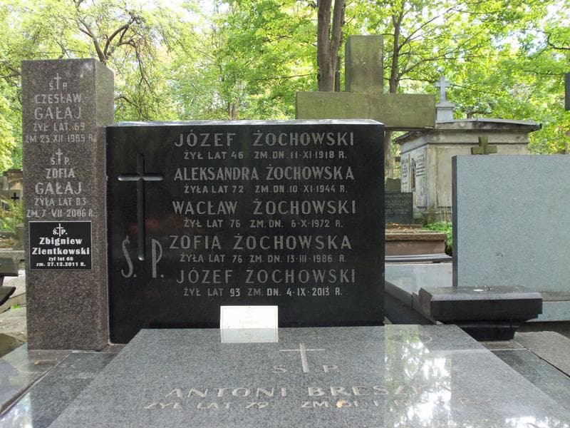 Zdjęcie grobu Wacław Żochowski (2)