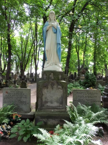 Zdjęcie grobu Stefan Danikowski (2)