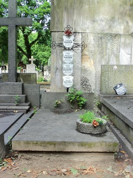 Zdjęcie grobu: Jadwiga Guzek