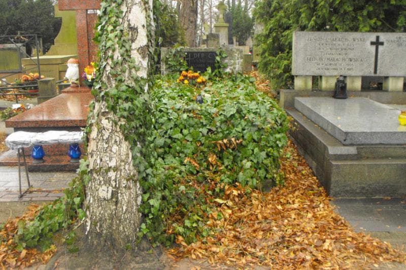 Zdjęcie grobu: Leonard Derski