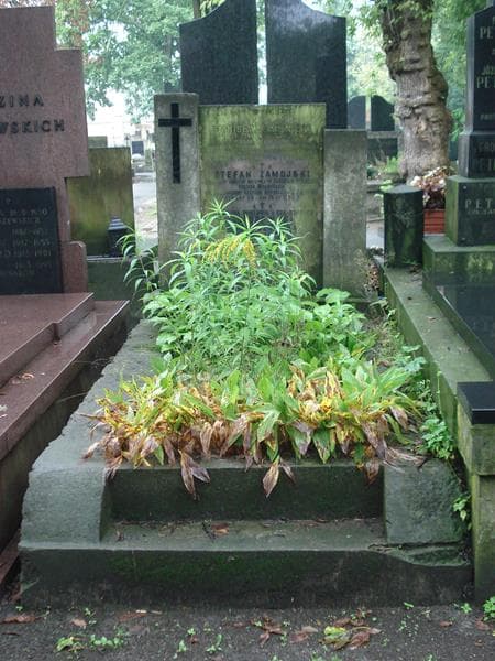 Zdjęcie grobu: Stanisław Bartnicki