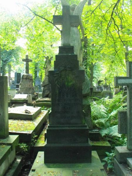 Zdjęcie grobu Franciszek Bursiak (2)