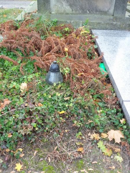 Zdjęcie grobu Pole Grobowe/anonim (2)
