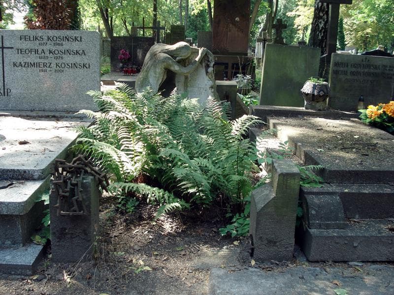 Zdjęcie grobu: Julja Duchniewiczowa