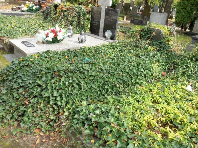 Zdjęcie grobu Władysław Wysocki (1)