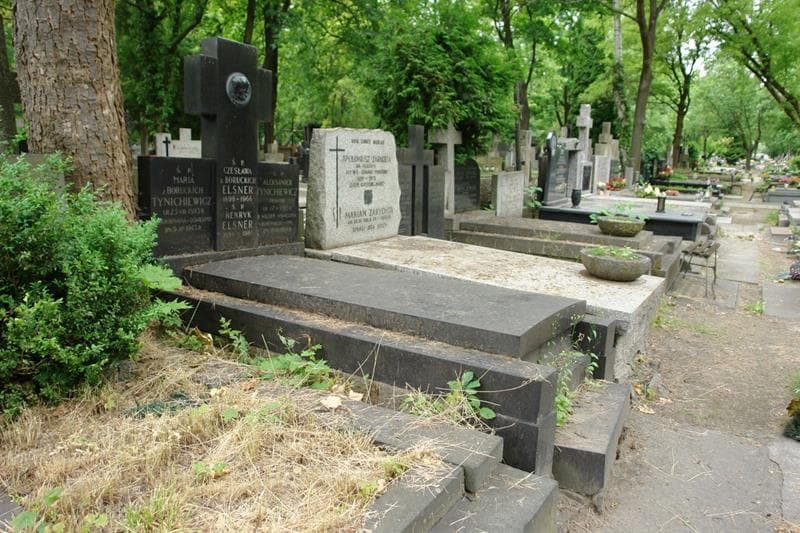 Zdjęcie grobu: Aleksander Tynichiewicz
