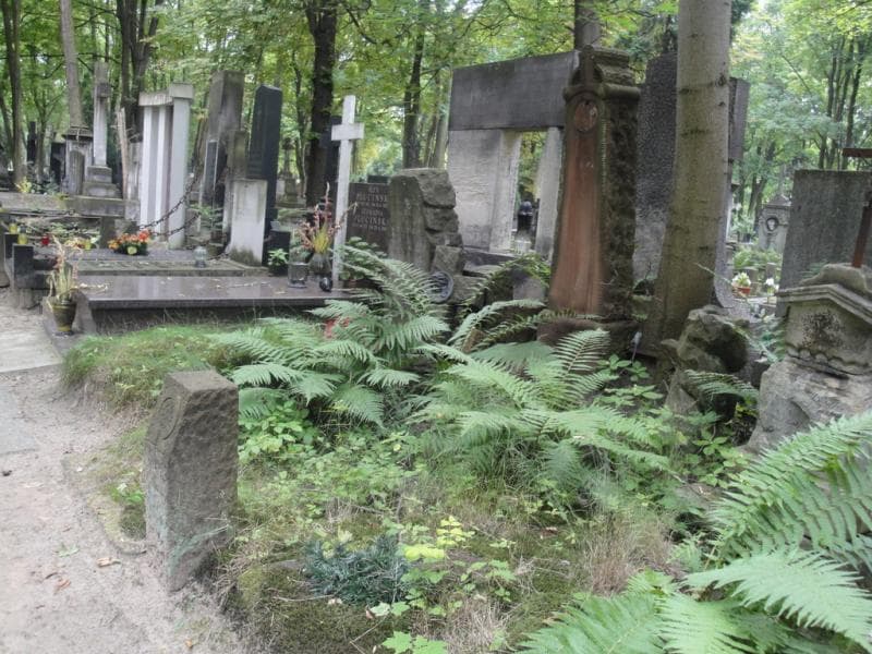 Zdjęcie grobu Konrad Drzewiecki (1)
