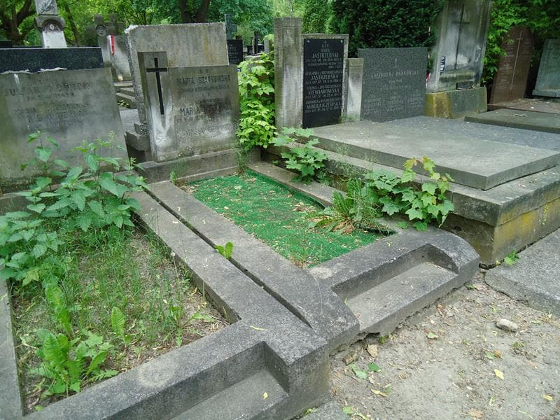 Zdjęcie grobu Władysław Szańkowski (1)