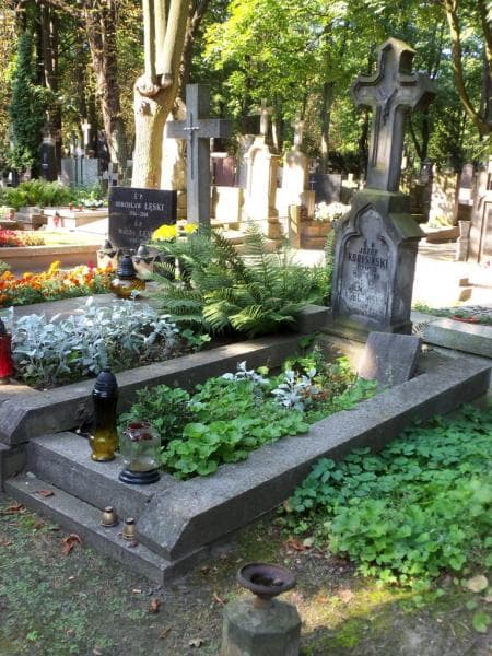 Zdjęcie grobu Julja Kobusińska (1)