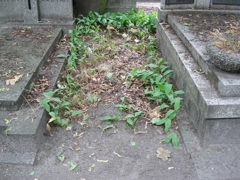 Zdjęcie grobu Pole Grobowe (1)