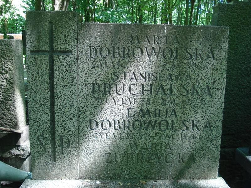 Zdjęcie grobu Emilia Dobrowolska (1)