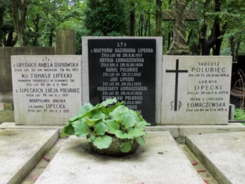 Zdjęcie grobu Zofia Polubiec (2)