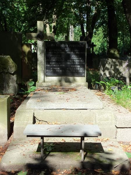 Zdjęcie grobu: Antonina Pudełko