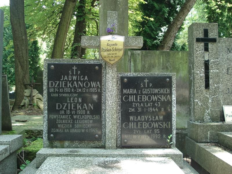 Zdjęcie grobu Władysław Chlebowski (2)