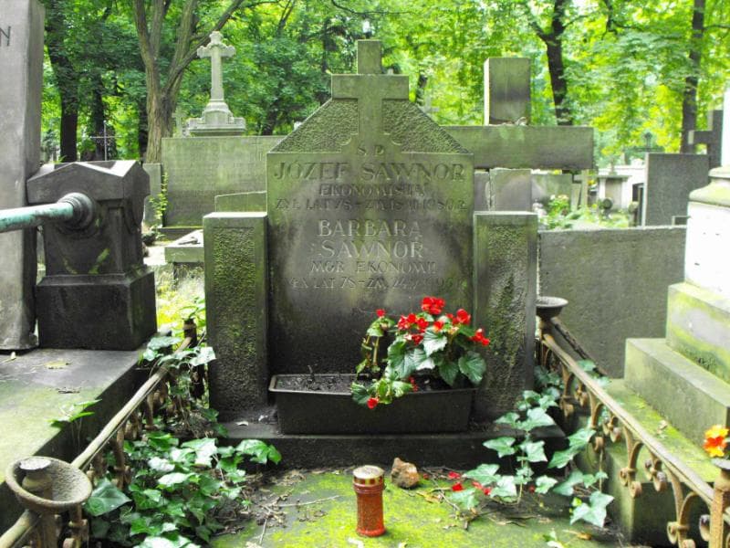 Zdjęcie grobu Józef Sawnor (2)