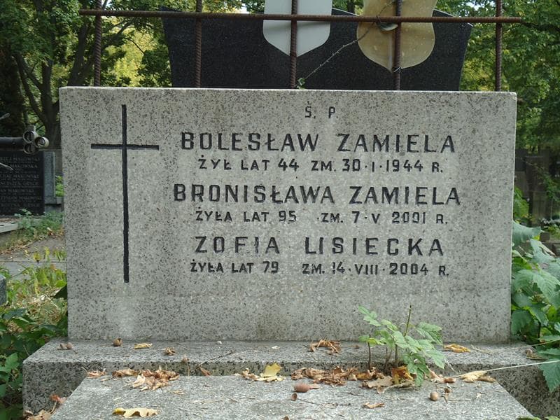 Zdjęcie grobu Zofia Lisiecka (2)