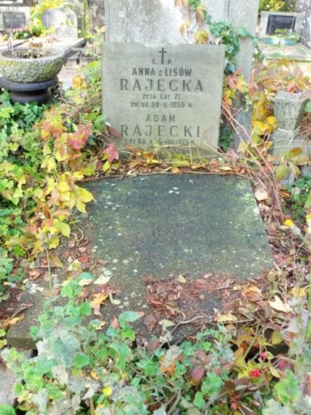 Zdjęcie grobu Jadwiga Harvey (2)