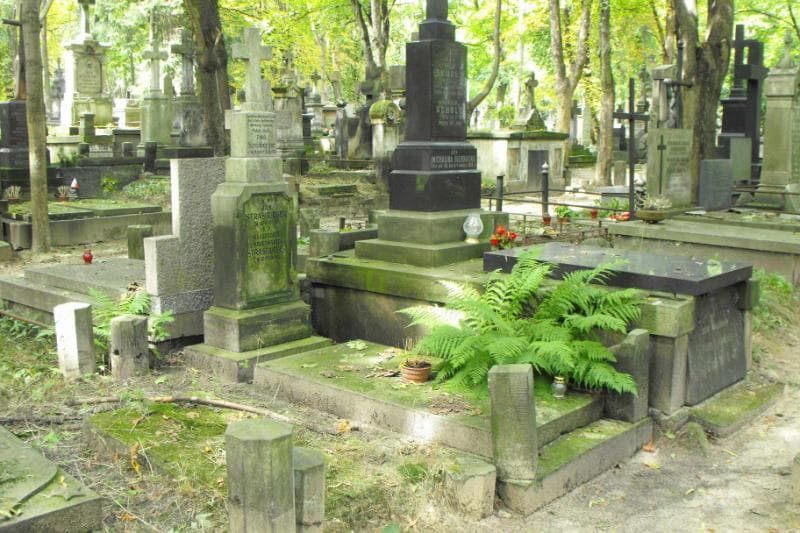 Zdjęcie grobu Fabik Strasburger (1)