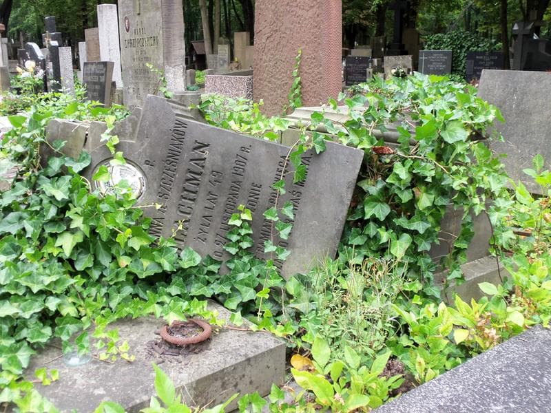 Zdjęcie grobu Marjanna Blachman (2)