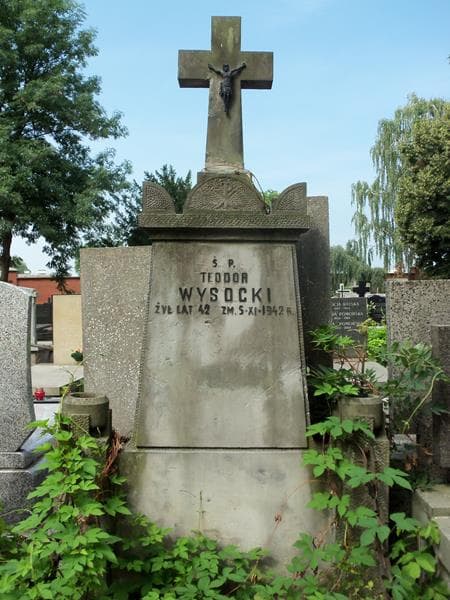 Zdjęcie grobu Teodor Wysocki (2)