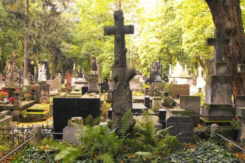 Zdjęcie grobu Tadeusz Rymkiewicz (1)
