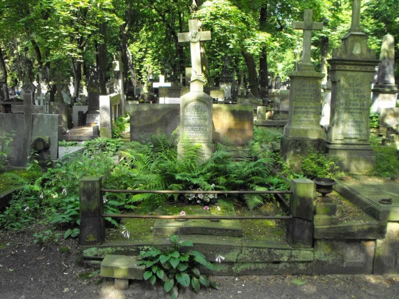 Zdjęcie grobu: Zygmunt Borzęcki