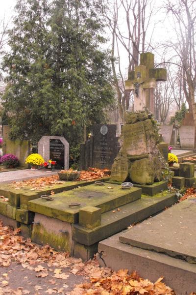 Zdjęcie grobu Leon Makarewicz (1)